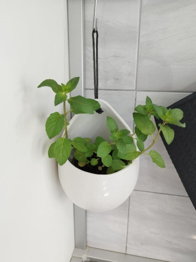 Antemma Apartment Pula Eksteriør billede